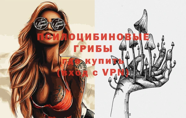 гидра Тихвин