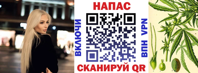 Конопля White Widow  маркетплейс официальный сайт  Нахабино 